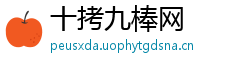 十拷九棒网